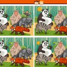 Find Hidden Differences